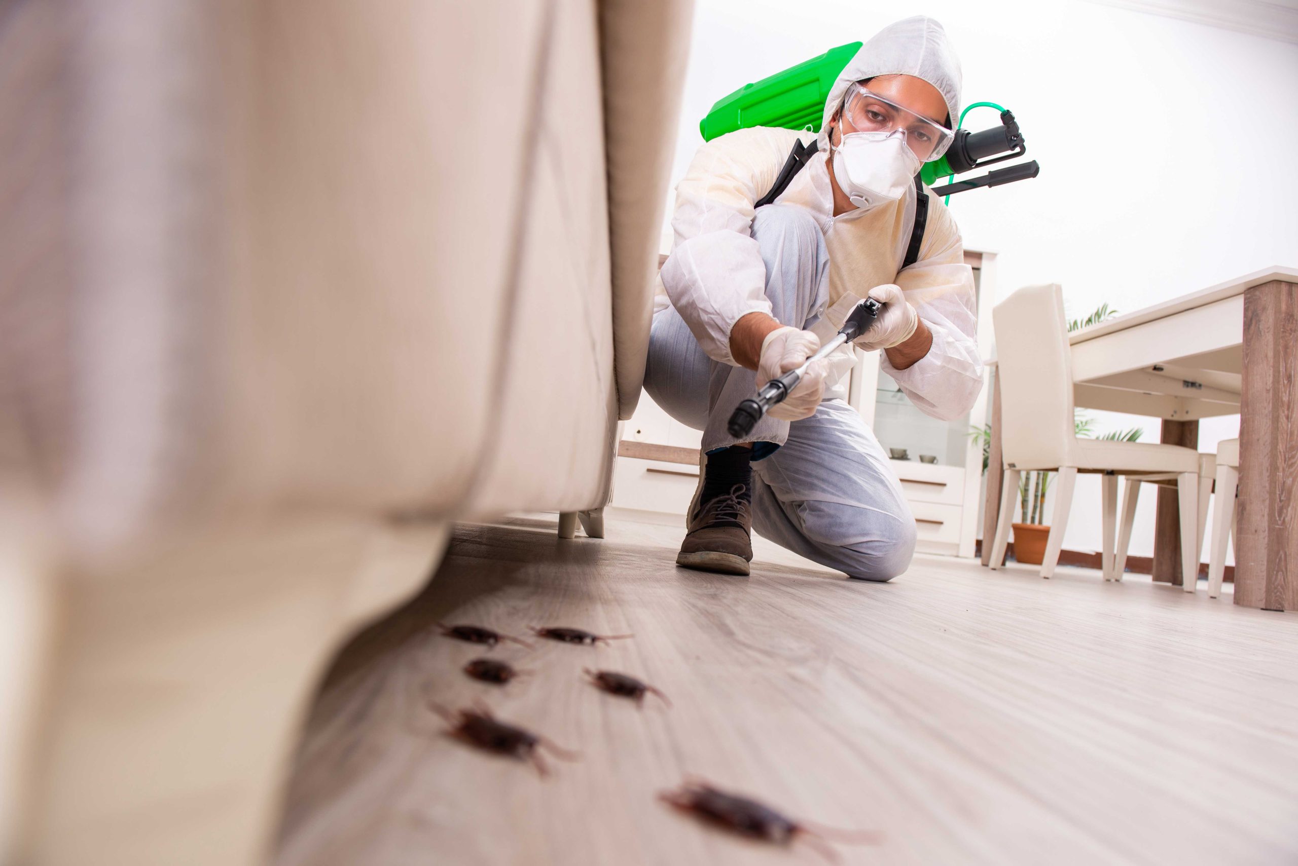 Pest-Control experts in Riverwoods, Illinois specializing in prevention and eradication of various pests. Don't let pests damage your property and endanger your health.